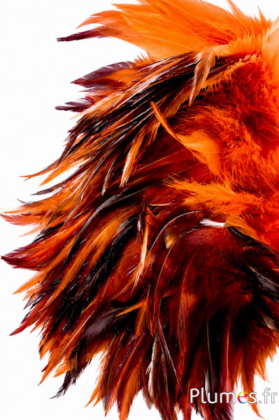 Franje haan - lengte veren 10-15 cm - amber-koffie